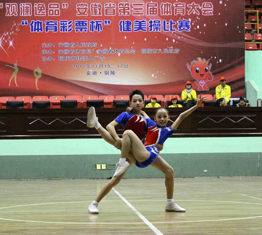 安徽省第三届体育大会健美操比赛
