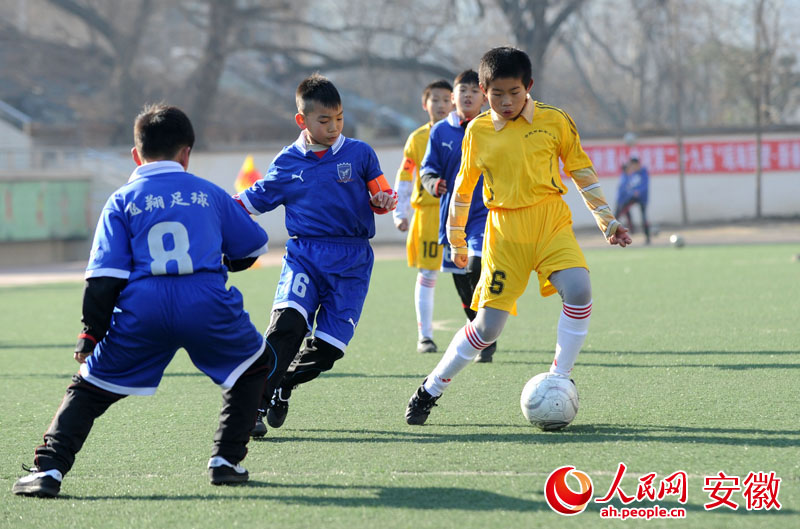 合肥:新春杯全国少年足球赛在合肥火热开赛(