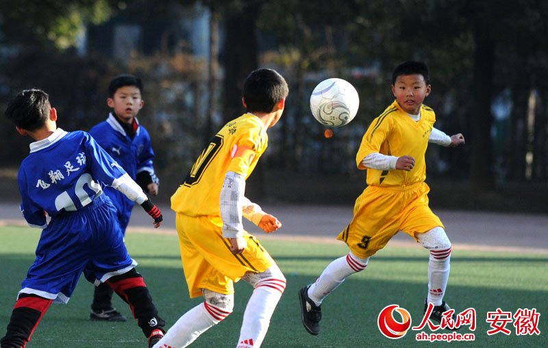 合肥:新春杯全国少年足球赛在合肥火热开赛(