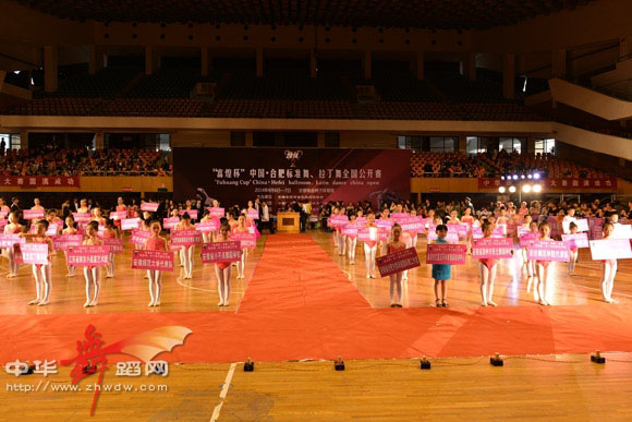 2014富煌杯中国合肥标准舞 拉丁舞全国公开