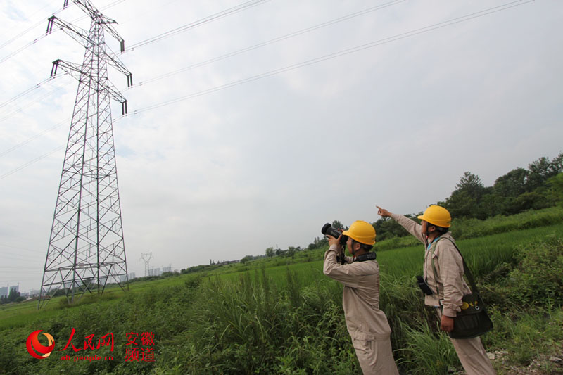 合肥供电公司加强高温大负荷期间线路巡视(组