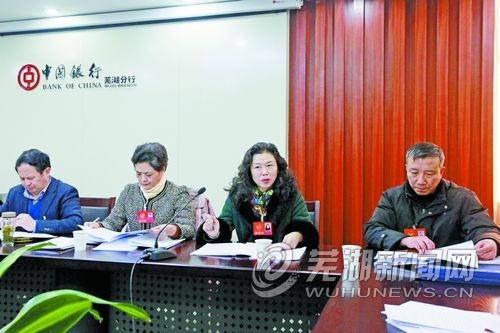 芜湖市政协委员分组讨论两院工作报告
