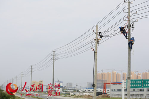 长丰县供电公司:带电接火服务客户 提高供电可靠性