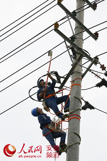 长丰县供电公司:带电接火服务客户 提高供电可靠性