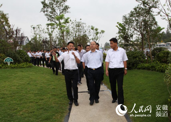 亳州市美丽乡村建设观摩调度会在利辛召开