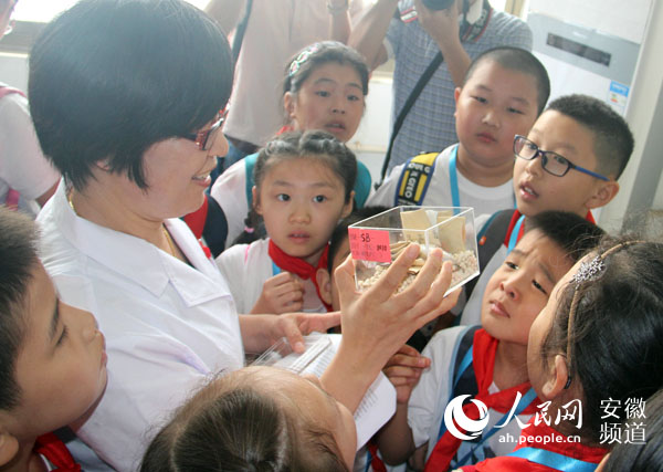 西园新村小学学生参加安徽省食品药品安全小记