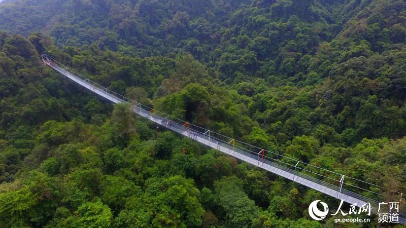 广西首座悬索玻璃桥建成 最深垂直高度52.0米