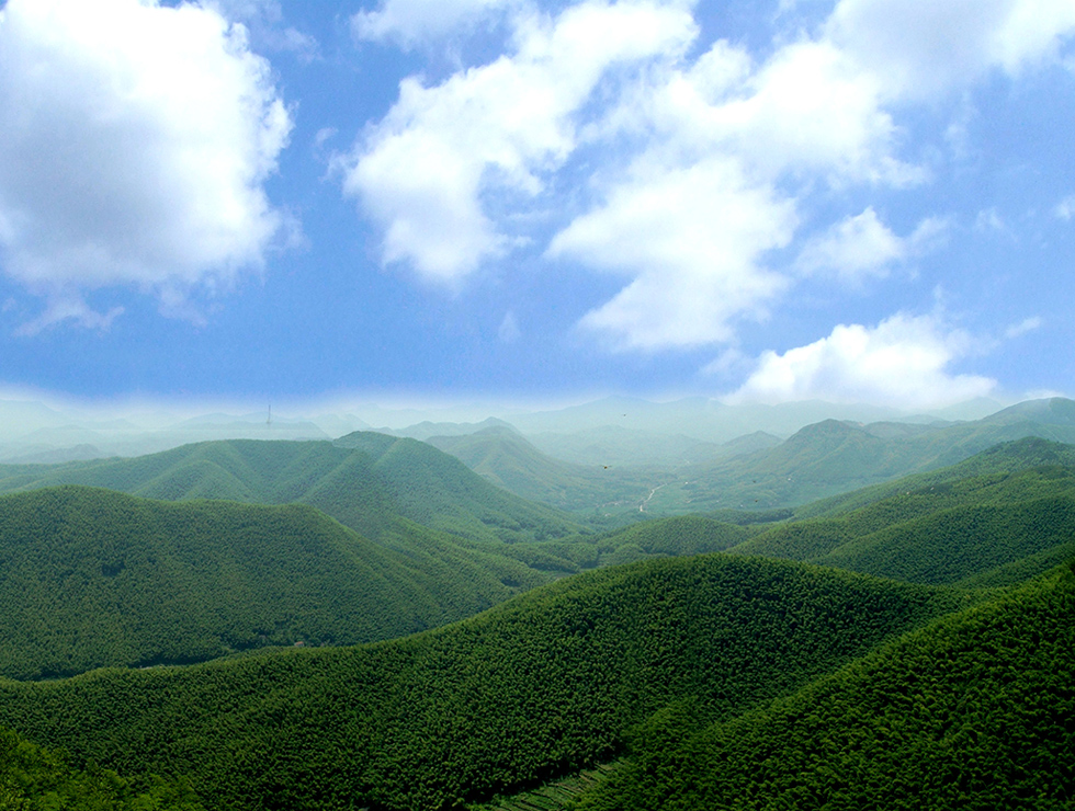 广德县笄山竹海