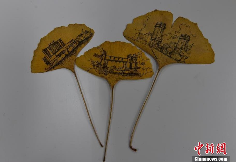 重庆大学生树叶作画 把校园画进银杏叶