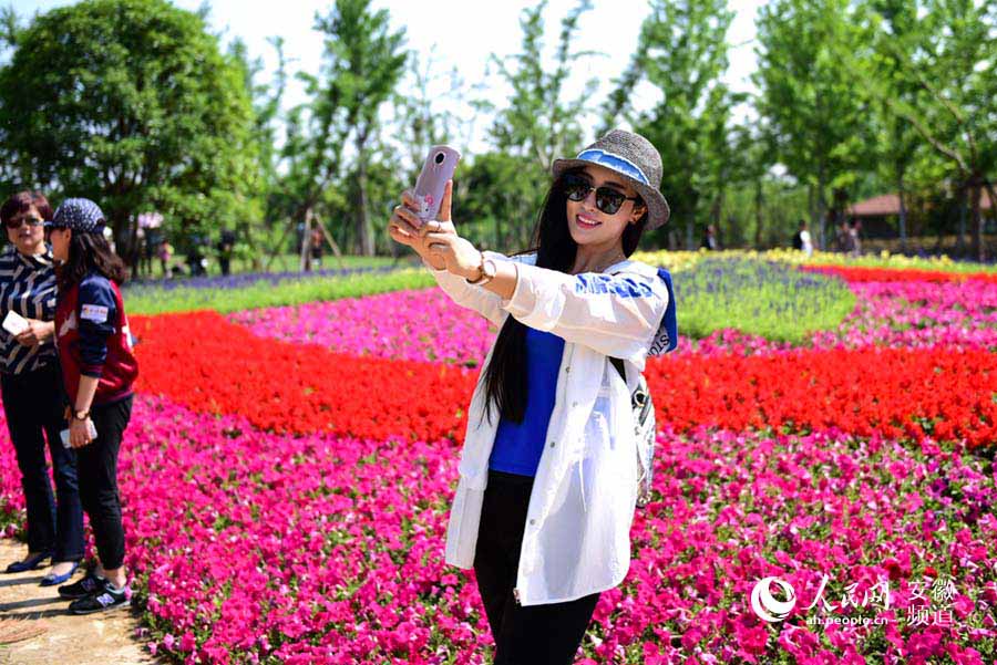 滁州规模最大的园林景观"花博园"今天开园--安徽频道--人民网
