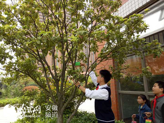 合肥市永红路小学北城世纪城分校开展环境保护