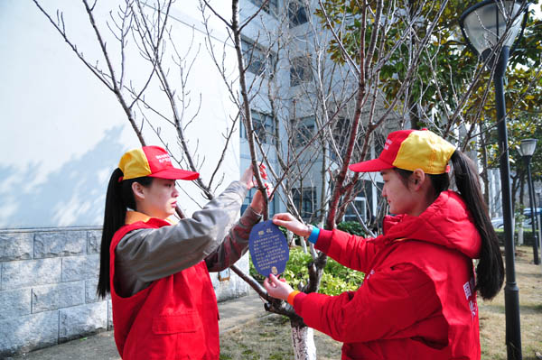 给树木挂上身份证(图)