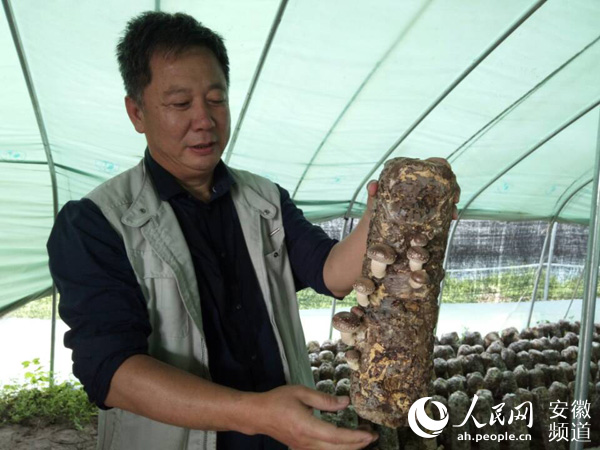 砀山:梨树枝条变废为宝 群众脱贫鼓起腰包