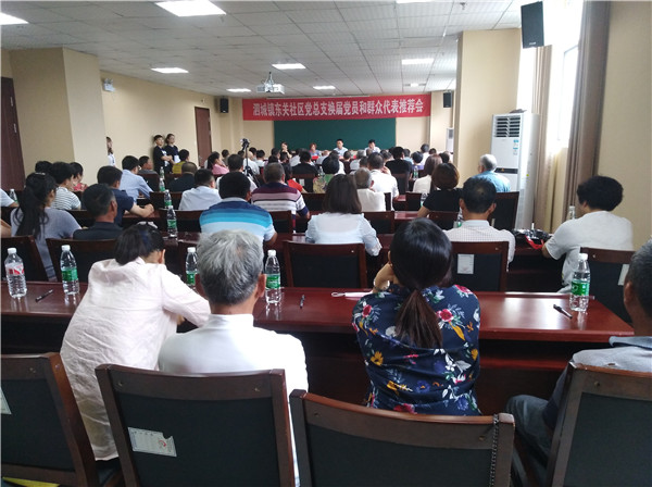 泗城镇召开村和社区党组织换届两推一选环节