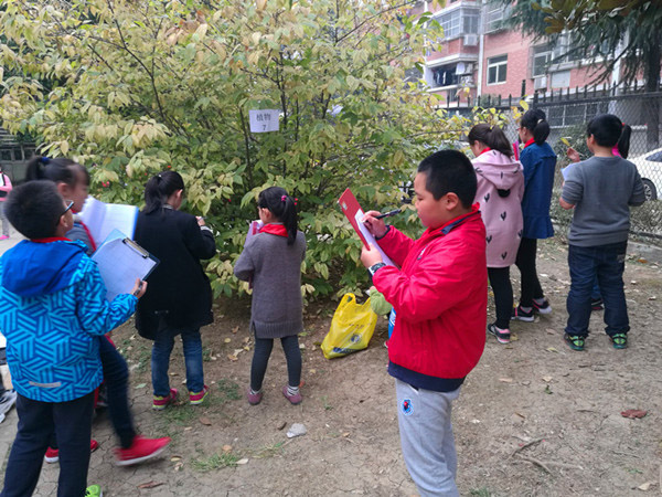 合肥市西园新村小学南校获全国青创赛二等奖