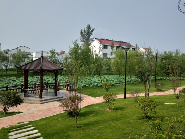 泗县泗城镇:树立绿色发展理念 建设美丽新泗城