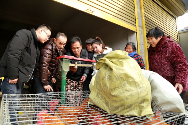 亳州市利辛县供电公司：贫困户老李家的鸡和羊有了好销路