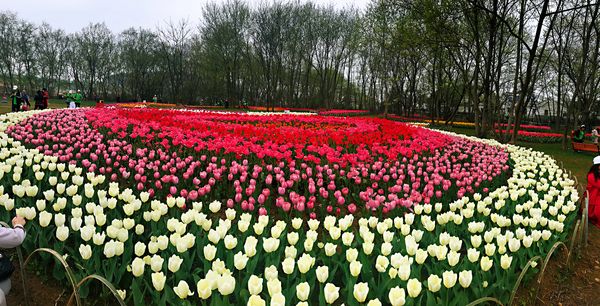 芜湖春天游玩攻略,芜湖春天游玩攻略一日游