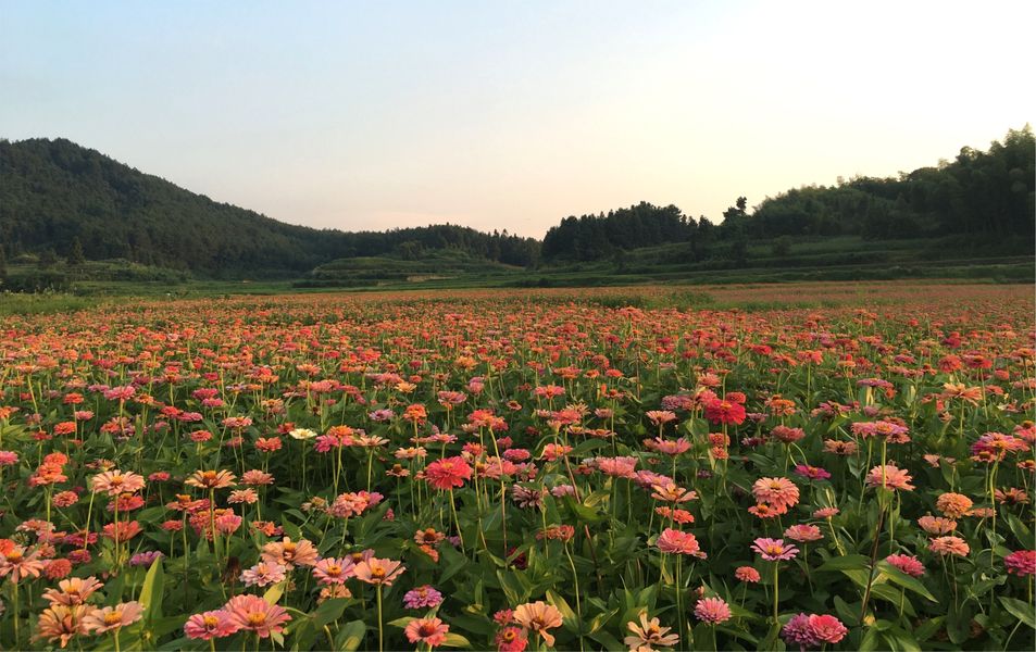 四季花海景区