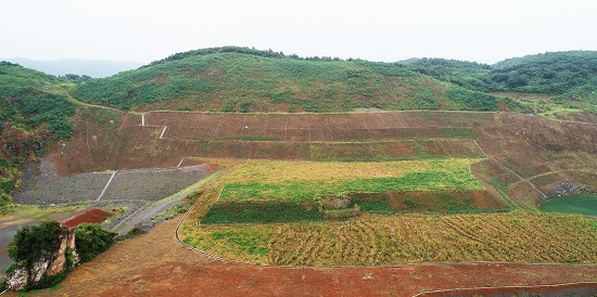 铜陵市郊区金华矿山采场复垦成的耕地