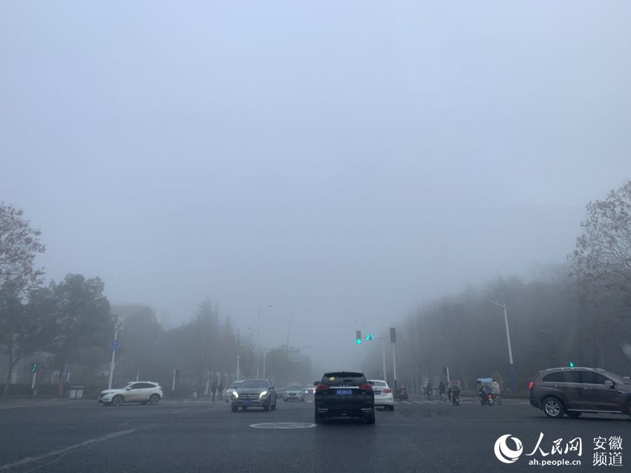 安徽发布大雾橙色预警 多条高速全线入口封闭