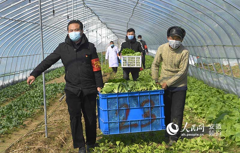 “三員”流動服務隊隊員幫助貧困群眾搬運蔬菜運往超市銷售。陳力攝