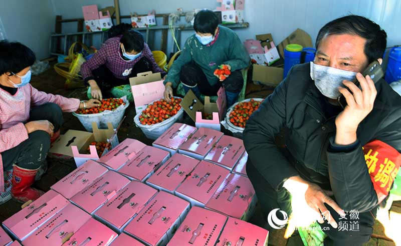 “三員” 流動服務隊行政協調員張恩發（右一）幫助貧困群眾聯系草莓銷路。陳力攝