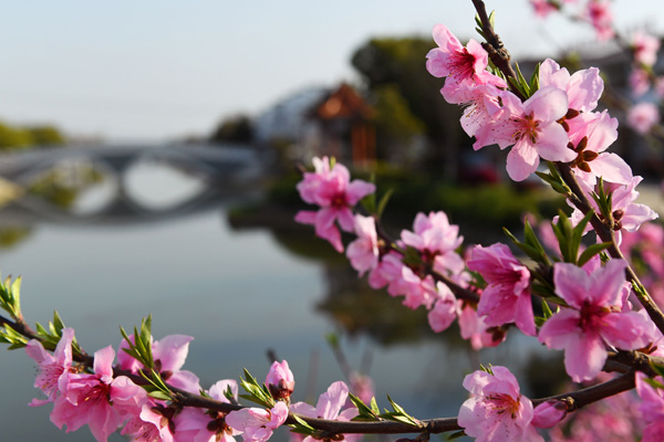 鄭遠 攝