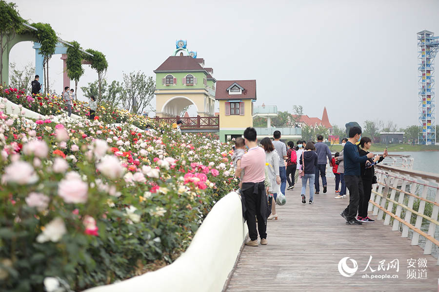 "五一"走进祥源花世界 邂逅初夏的浪漫