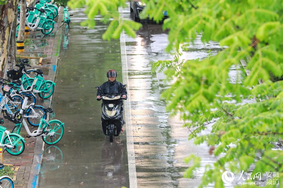 一名市民冒雨騎車通過合肥南二環。張俊 攝