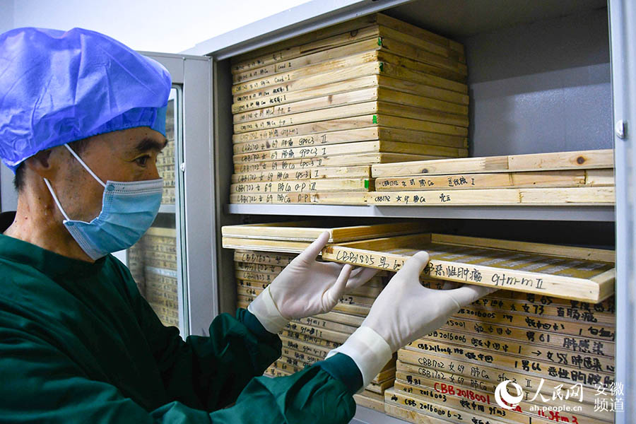 在國家腦庫安醫大分庫，儲存著數百個腦組織樣本模板。周坤 攝