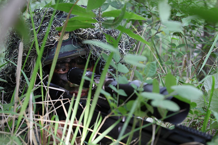 狙击手一动不动在丛林中潜伏