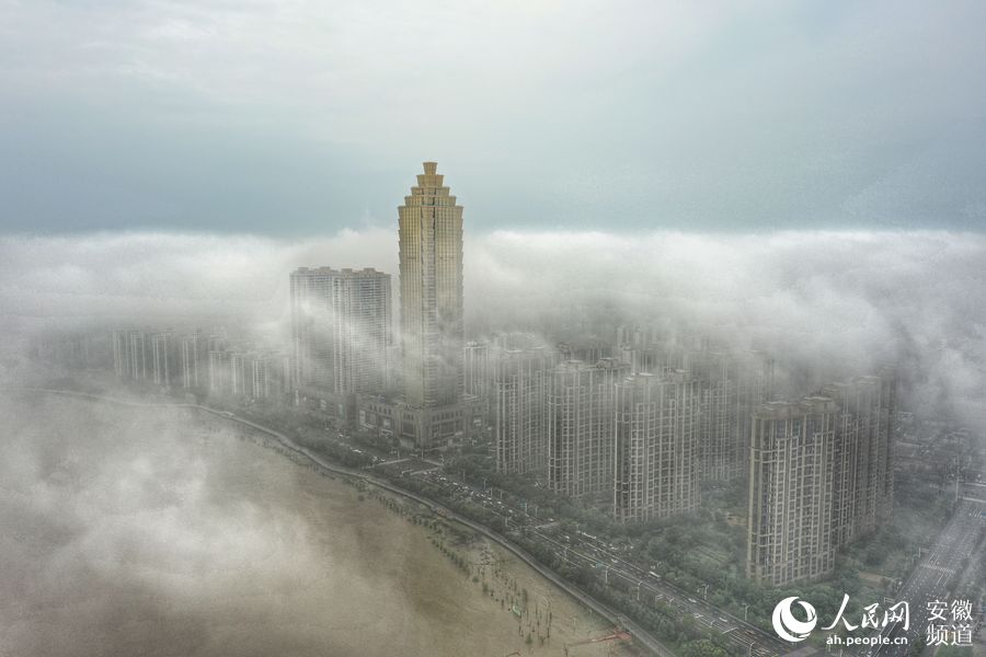 雨后蕪湖 霧氣氤氳【5】