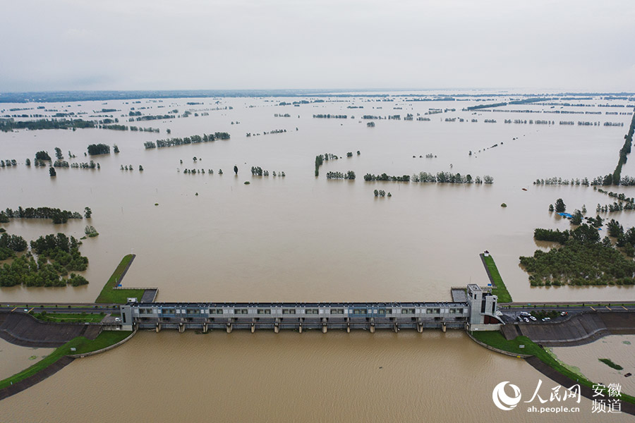 7月20日，為保淮河安瀾，姜唐湖行蓄洪區開閘蓄水。陳若天攝
