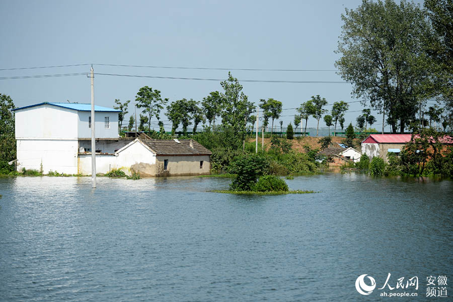霍邱城東湖蓄洪區進入待命狀態，群眾已轉移完畢。苗子健攝