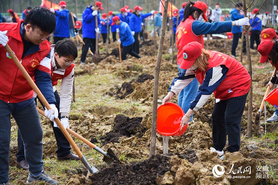 植树公益活动现场，志愿者们种下200余棵杉树。人民网 李希蒙摄
