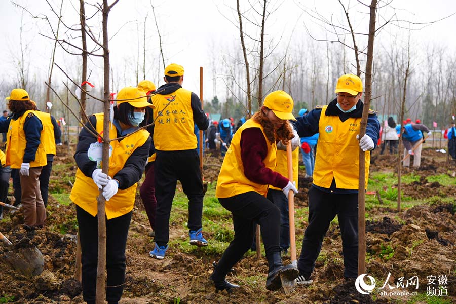 植樹公益活動現場，志願者們種下200余棵杉樹。人民網 李希蒙攝