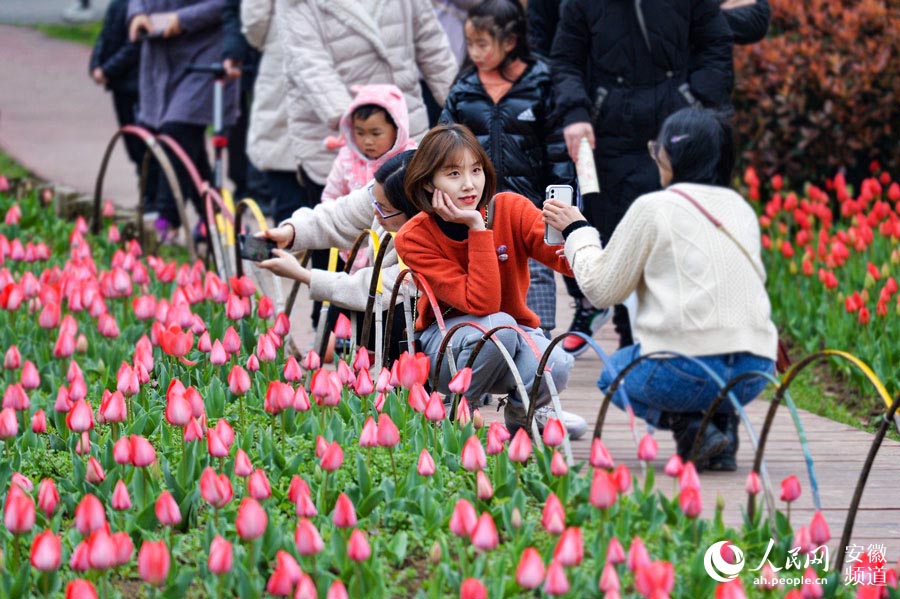 四季花海公園內，游客正在賞花、拍照。人民網記者 苗子健攝