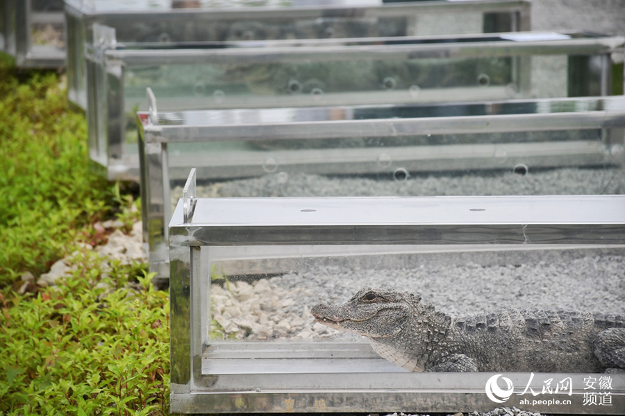 �������м����Ź���������������� ������