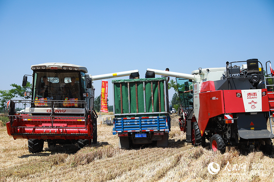 專家組對亳州市渦陽縣三個鄉鎮的三塊小麥高產攻關田進行實收測產。人民網 陶濤攝