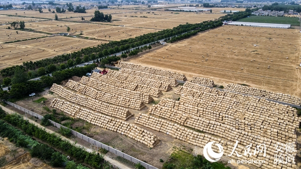 从污染源变新资源 从没人要到抢着收 “百亿粮仓”阜阳的秸秆蝶变