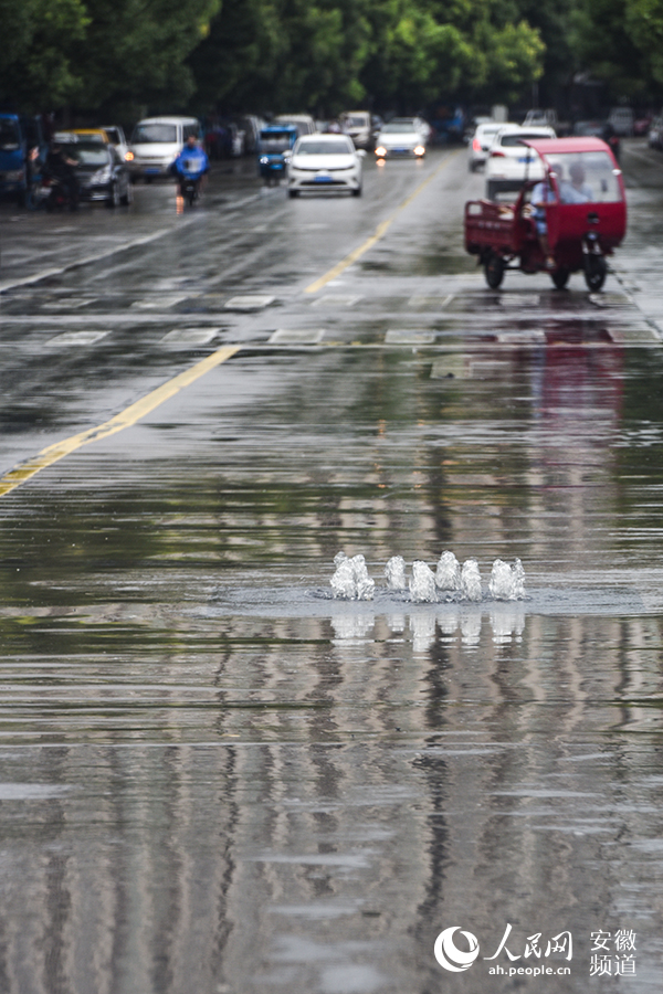 ���굼�»���·񿾮�����ⷺˮ�������� ��ϣ����