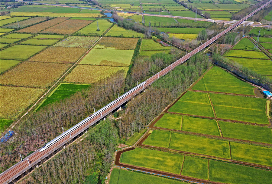 9月22日，一列列車從安徽省全椒縣十字鎮陳淺村藕塘和即將收獲的稻田上奔馳而過。 