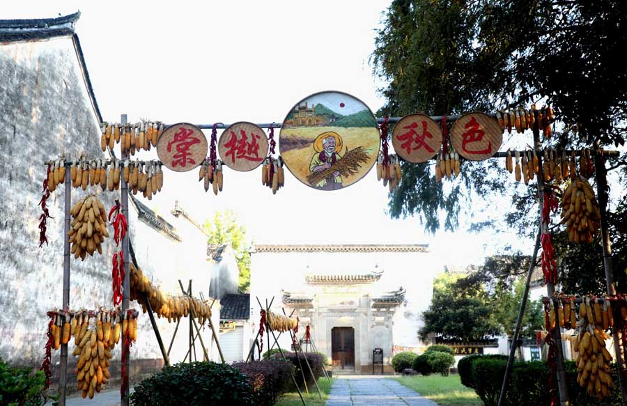 棠樾牌坊景區的“晒秋”成為國慶假期的一抹亮色。吳建平攝