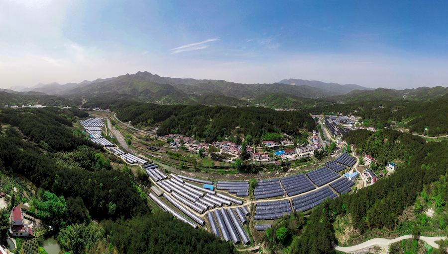 俯瞰六安市霍山縣太平畈鄉石斛種植基地。人民網 張俊攝