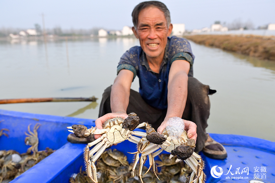 蟹農展示捕獲的螃蟹。人民網記者 苗子健攝
