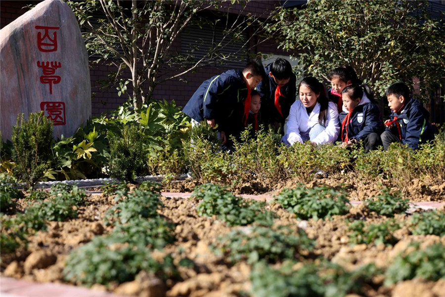 “百草園”裡，老師為孩子們講解中草藥知識。解琛攝