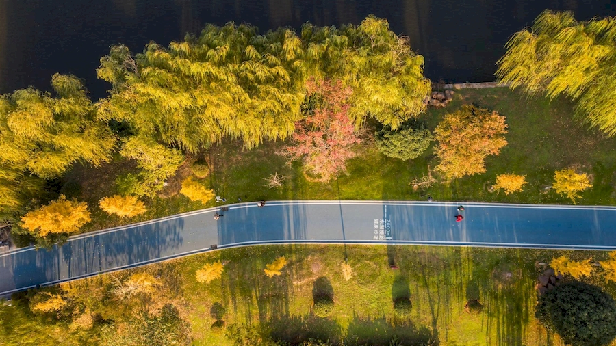 東湖公園美景。李明仙攝