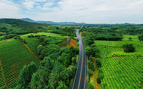 安徽郎溪S202：一條旅游路 一條致富路