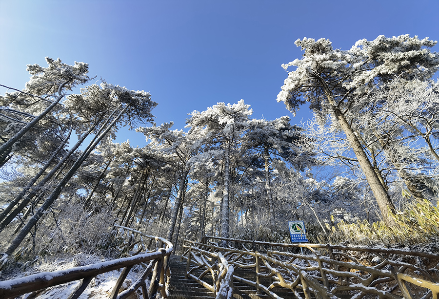 12月13日清晨的天堂寨風景區，霧凇挂滿枝，瑞雪遍山林。李勝利攝